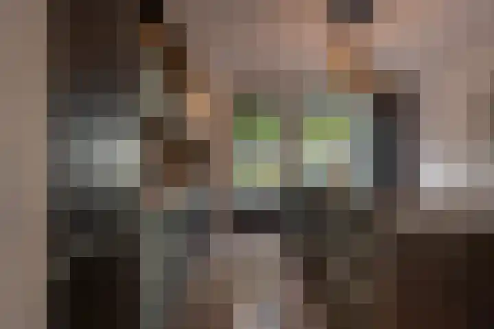 Valeriaan 7 Puttershoek thumbnail 11