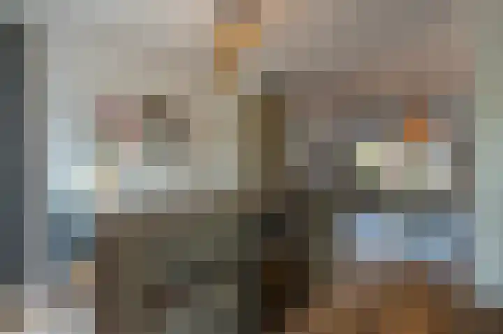 Valeriaan 7 Puttershoek thumbnail 14