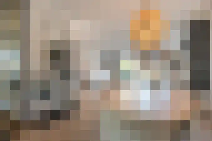 Valeriaan 7 Puttershoek thumbnail 16