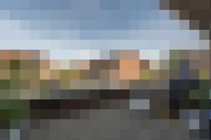 Valeriaan 7 Puttershoek thumbnail 24