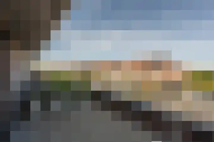 Valeriaan 7 Puttershoek thumbnail 25