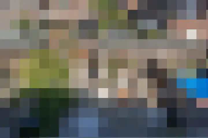 Valeriaan 7 Puttershoek thumbnail 26