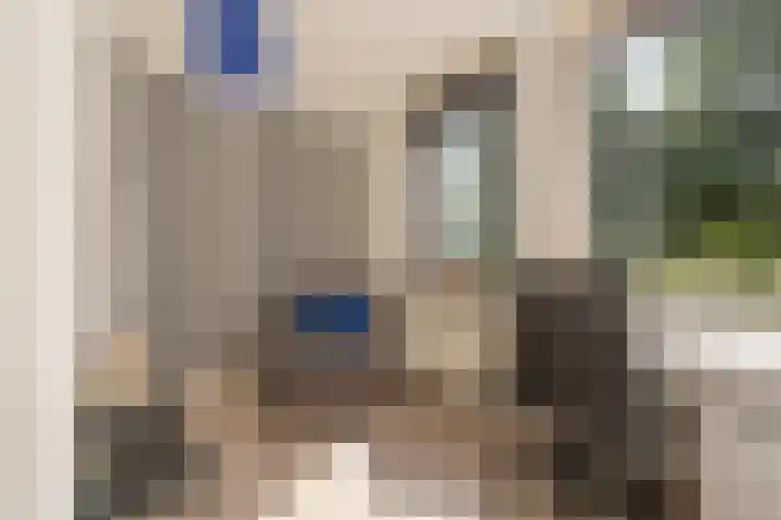 Valeriaan 7 Puttershoek thumbnail 30
