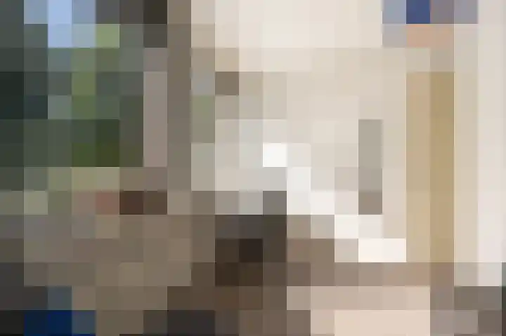 Valeriaan 7 Puttershoek thumbnail 31