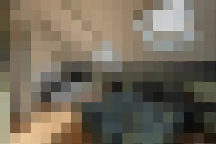 Valeriaan 7 Puttershoek thumbnail 39