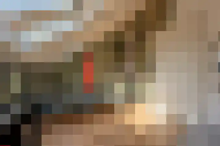 Valeriaan 7 Puttershoek thumbnail 41