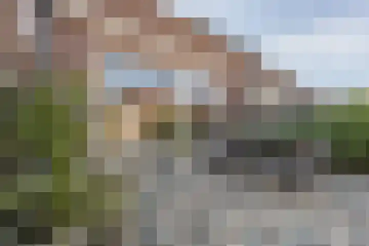 Valeriaan 7 Puttershoek thumbnail 43