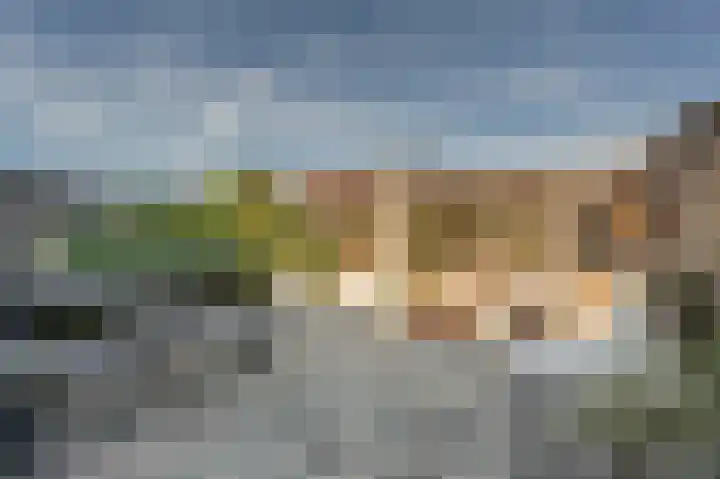Valeriaan 7 Puttershoek thumbnail 44