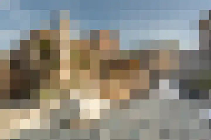 Valeriaan 7 Puttershoek thumbnail 45