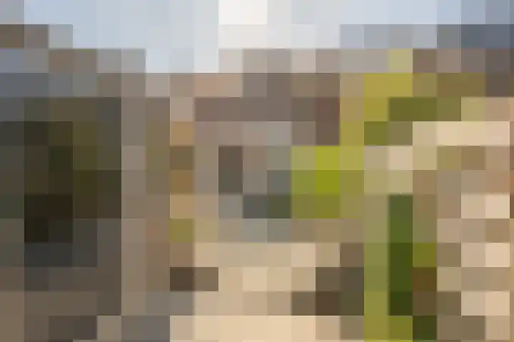 Valeriaan 7 Puttershoek thumbnail 46