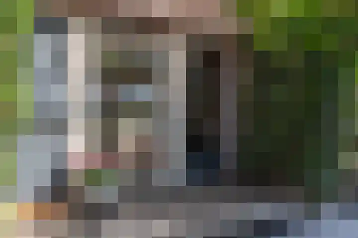 Valeriaan 7 Puttershoek thumbnail 47