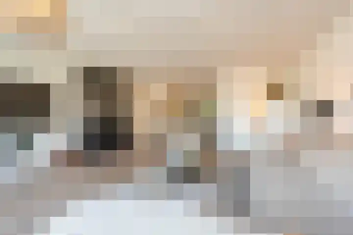 Valeriaan 7 Puttershoek thumbnail 7