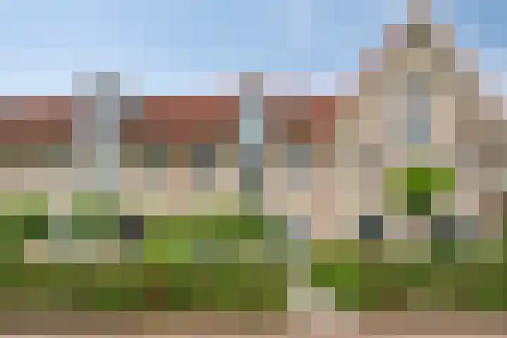 Valeriaan 72 in Meppel