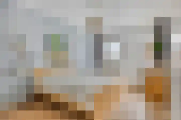 Valeriaan 72 Meppel thumbnail 14