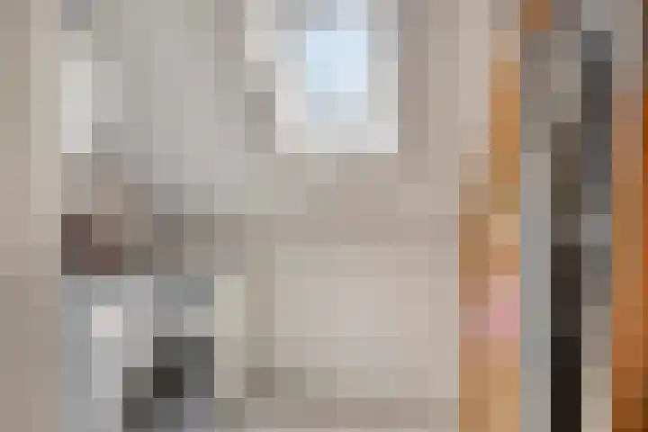 Valeriaan 72 Meppel thumbnail 29