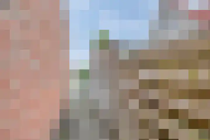 Valeriaan 72 Meppel thumbnail 34