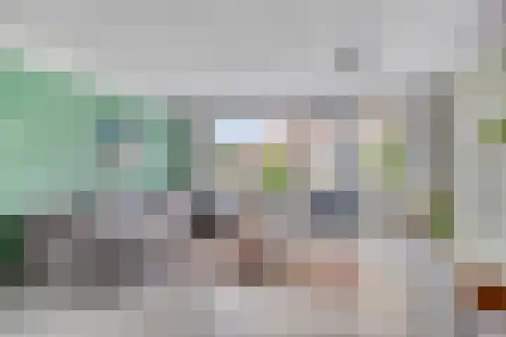 Valeriaan 72 Meppel thumbnail 8