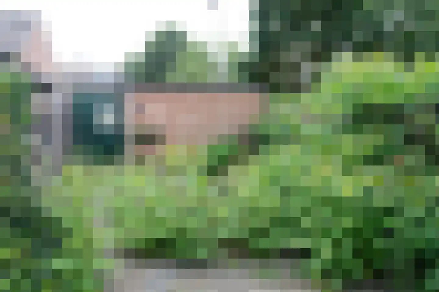 Valeriaan 77 Culemborg thumbnail 13