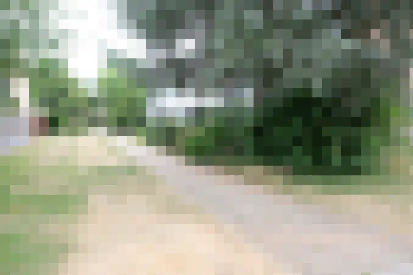 Valeriaan 77 Culemborg thumbnail 14