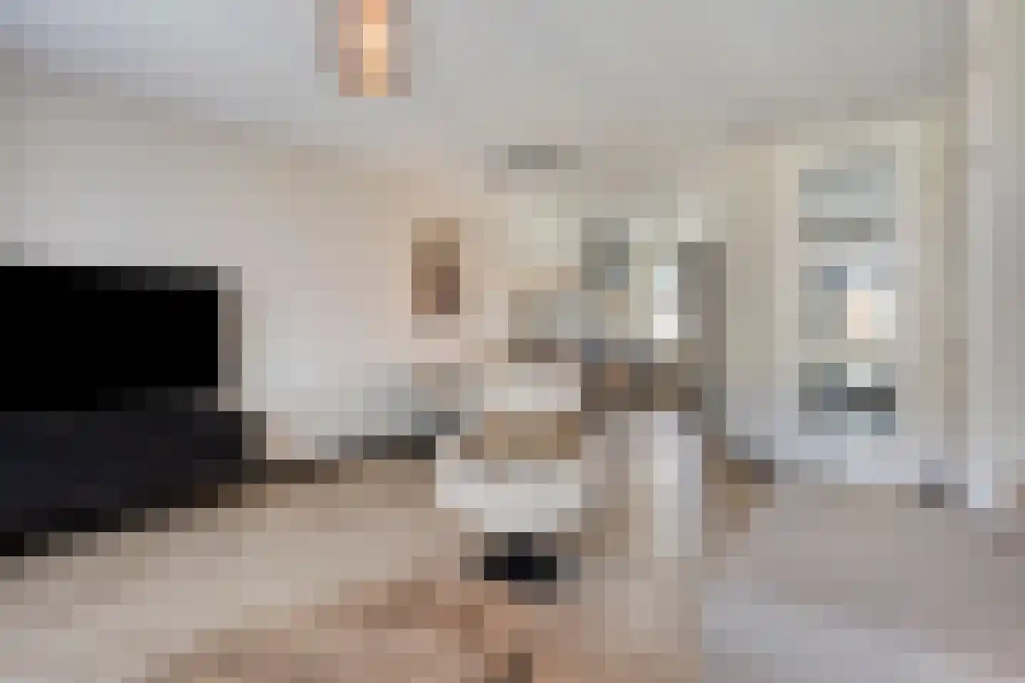 Valeriaan 8 Boekel thumbnail 10