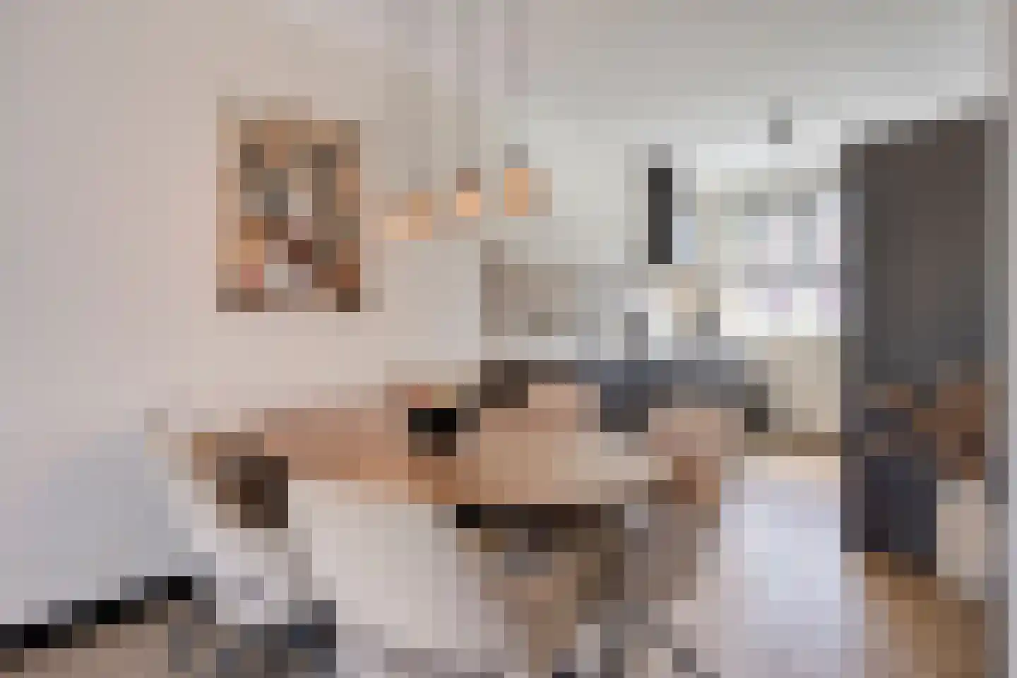Valeriaan 8 Boekel thumbnail 11