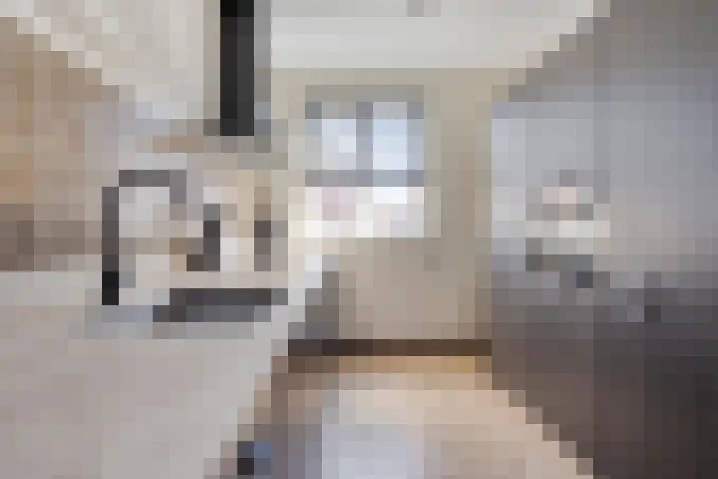 Valeriaan 8 Boekel thumbnail 13