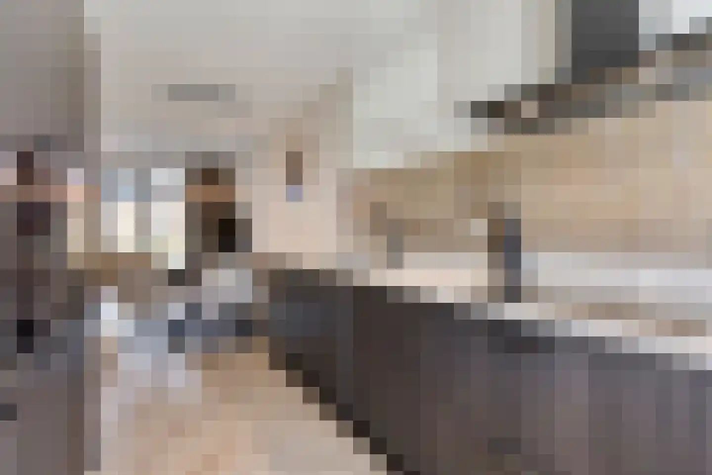 Valeriaan 8 Boekel thumbnail 14