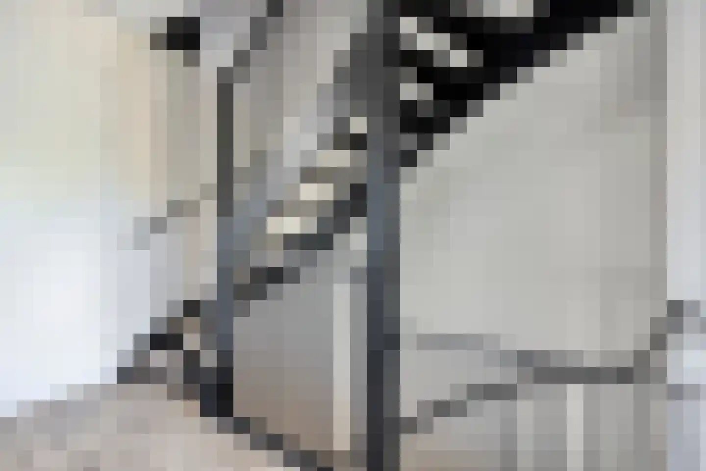 Valeriaan 8 Boekel thumbnail 15