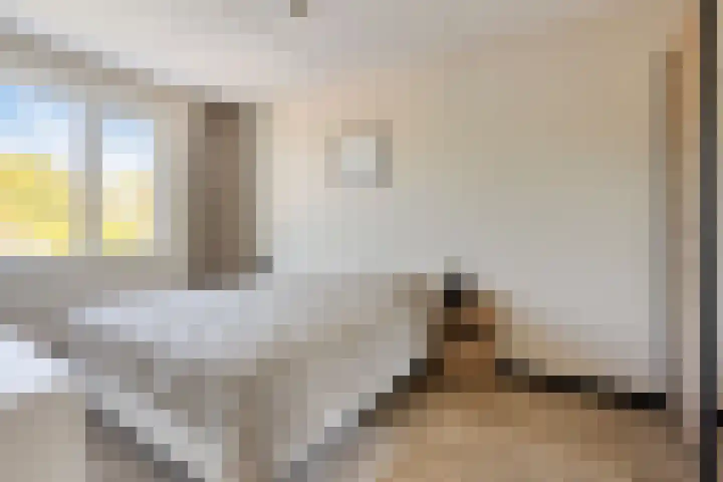 Valeriaan 8 Boekel thumbnail 16