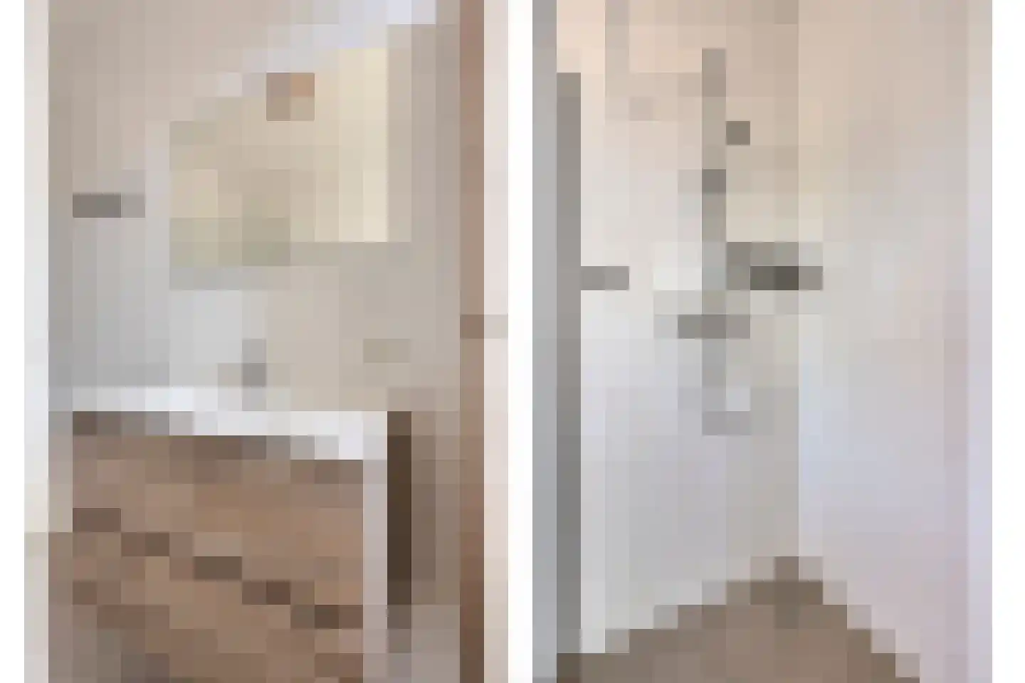 Valeriaan 8 Boekel thumbnail 19
