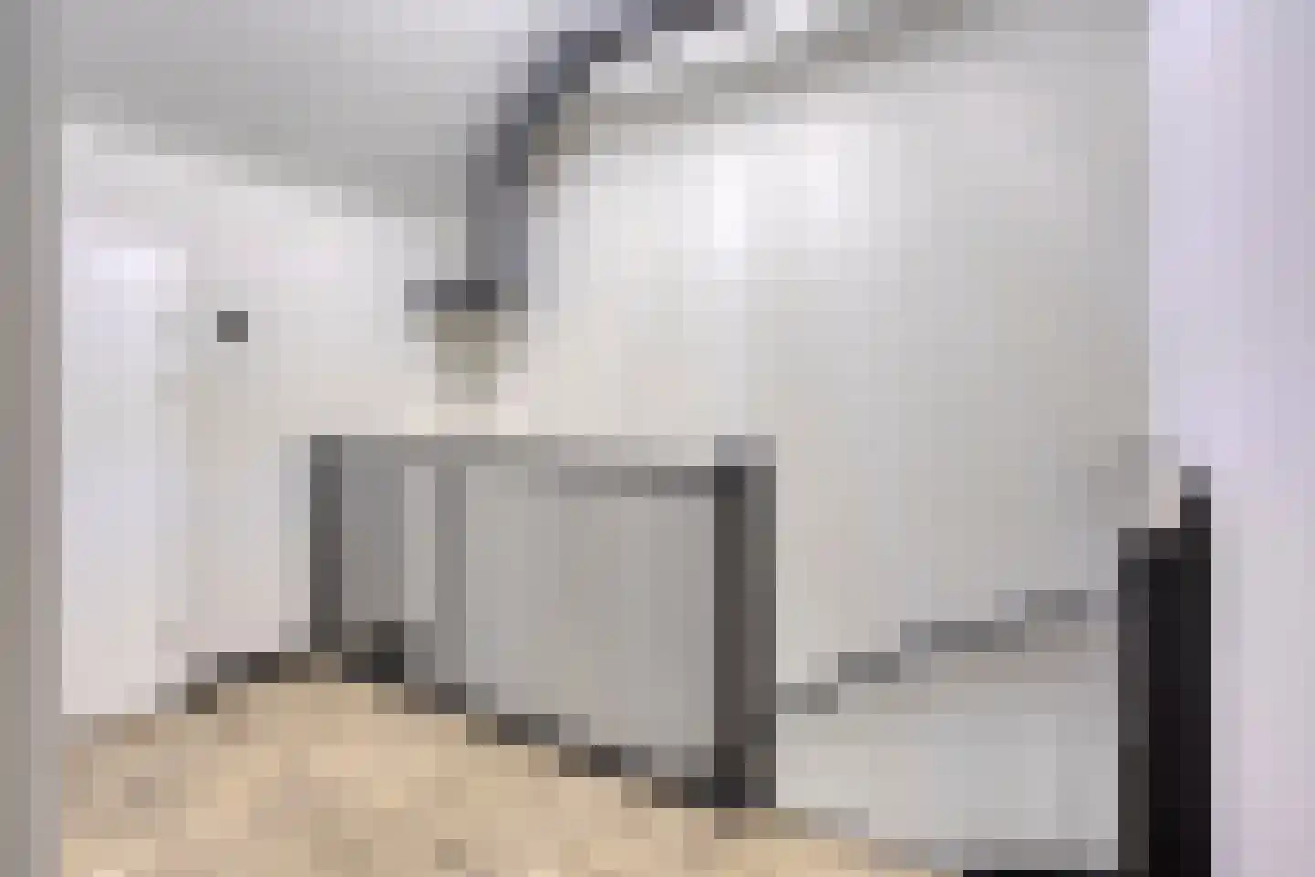 Valeriaan 8 Boekel thumbnail 22
