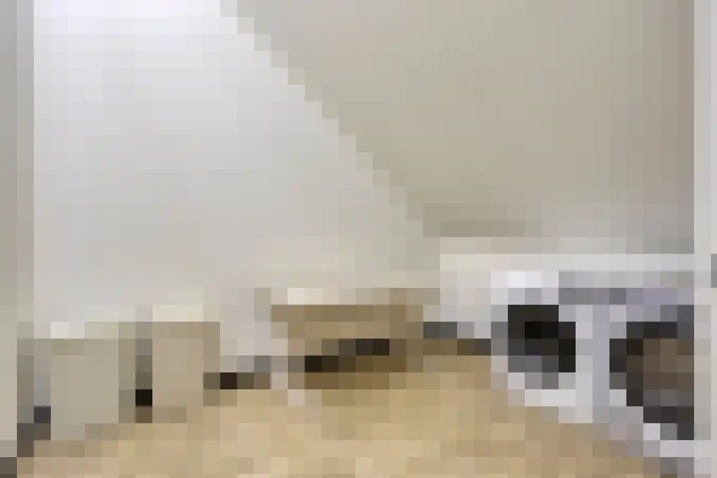Valeriaan 8 Boekel thumbnail 25