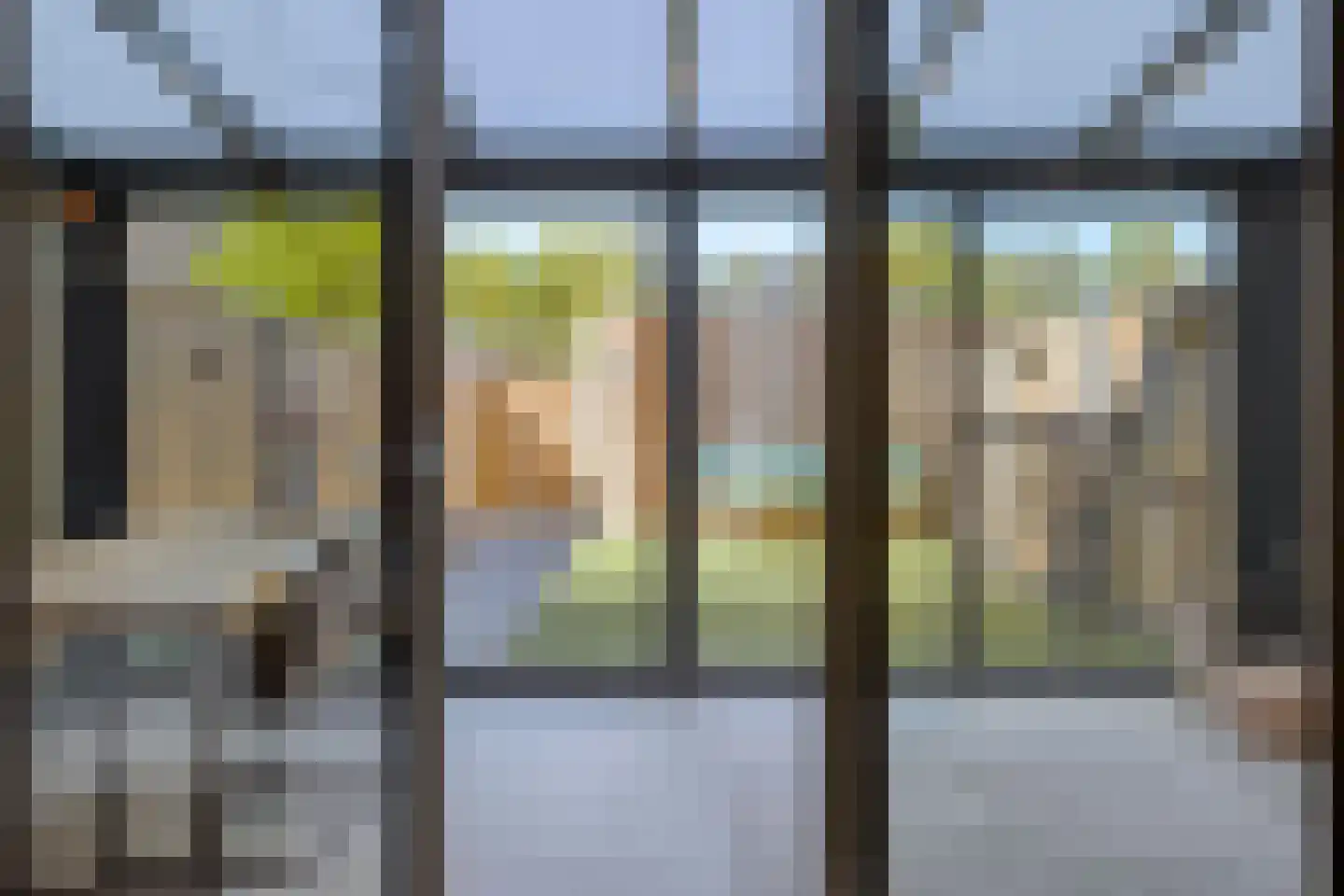 Valeriaan 8 Boekel thumbnail 26