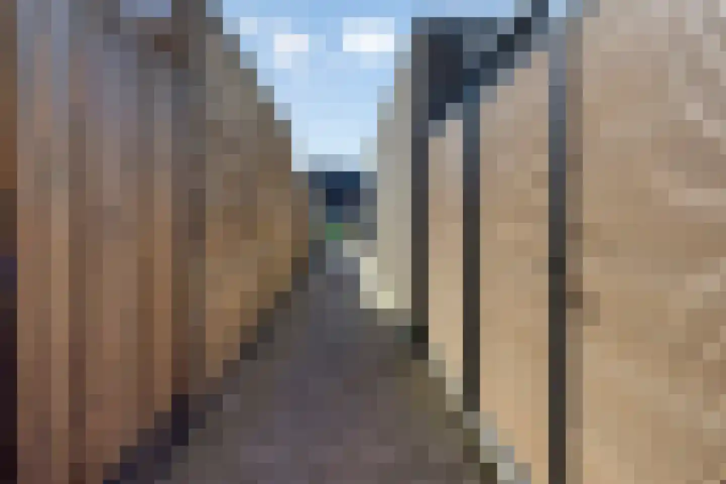 Valeriaan 8 Boekel thumbnail 34