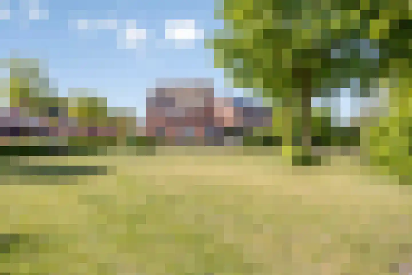 Valeriaan 8 Boekel thumbnail 35