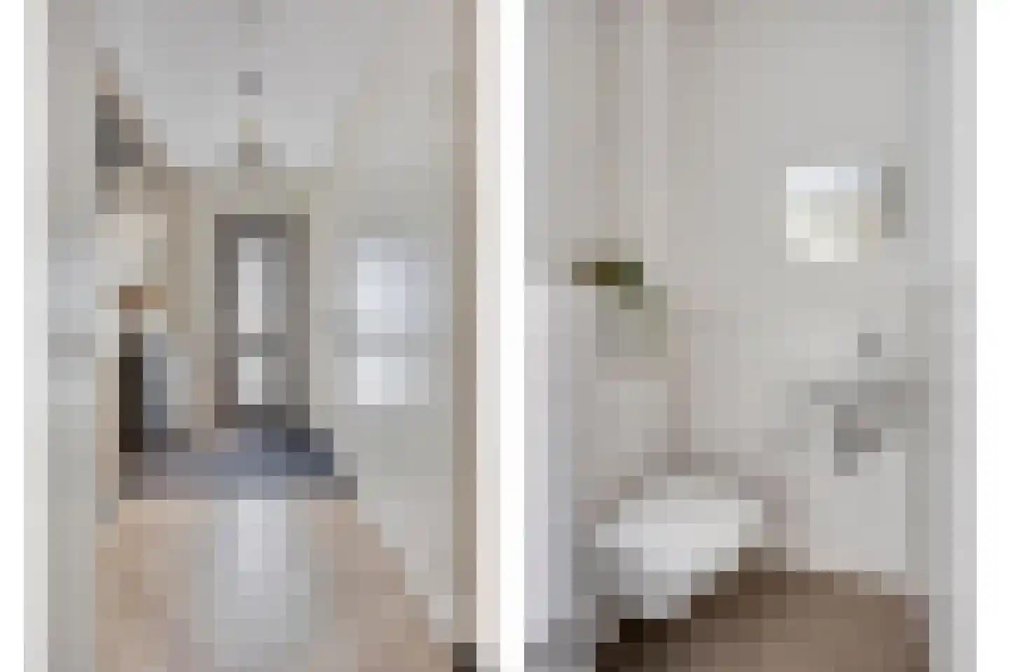 Valeriaan 8 Boekel thumbnail 6