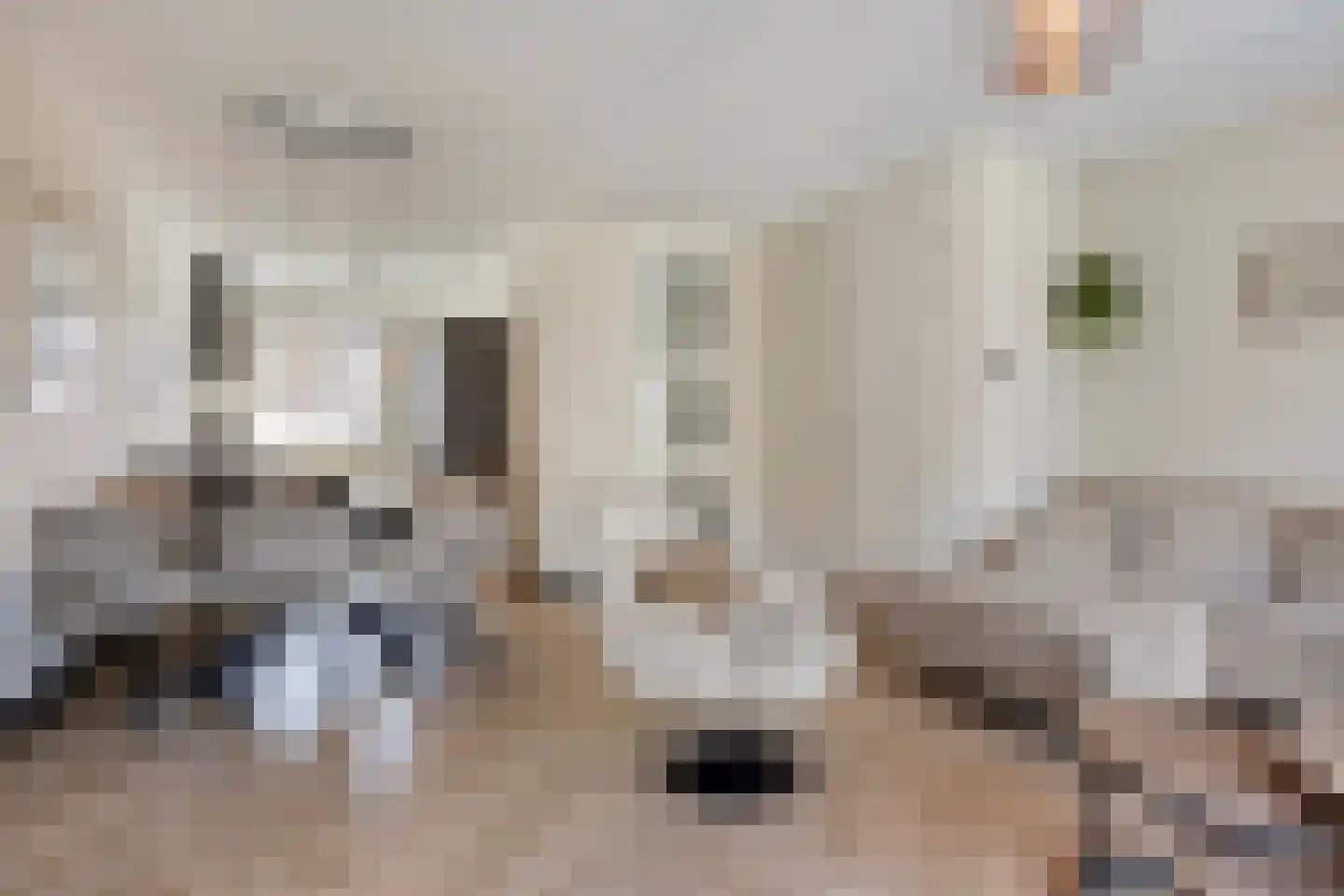 Valeriaan 8 Boekel thumbnail 9