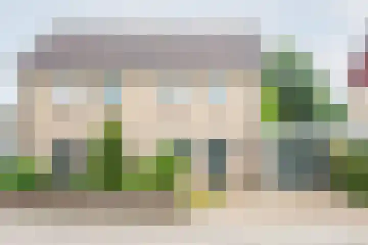 Valeriaan 80 Gendringen
