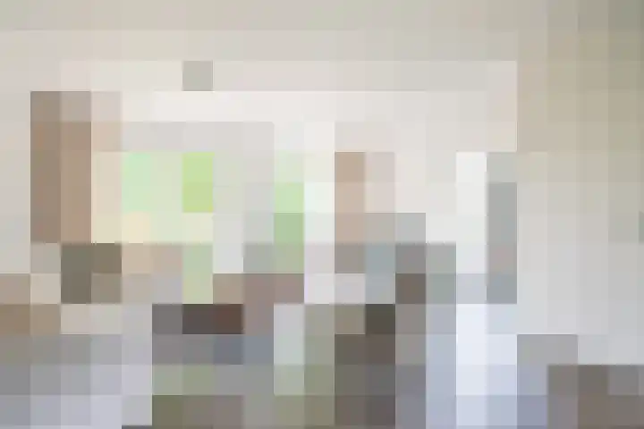 Valeriaan 80 Gendringen thumbnail 10