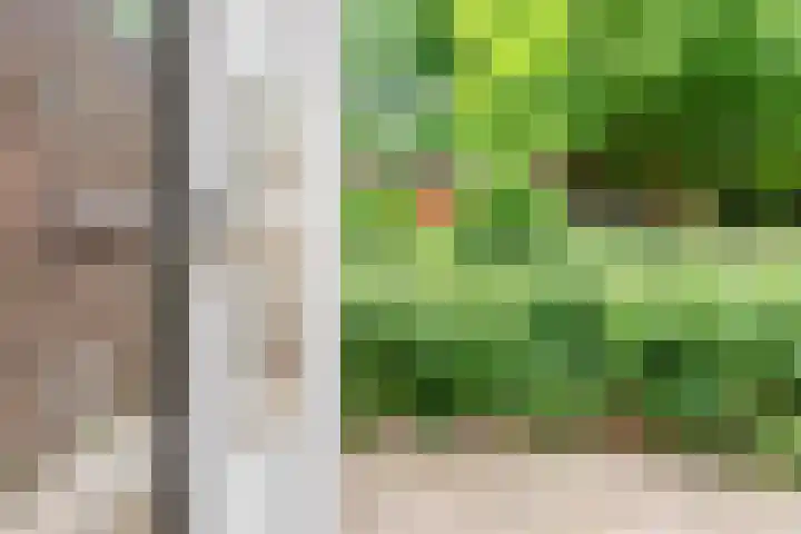 Valeriaan 80 Gendringen thumbnail 11