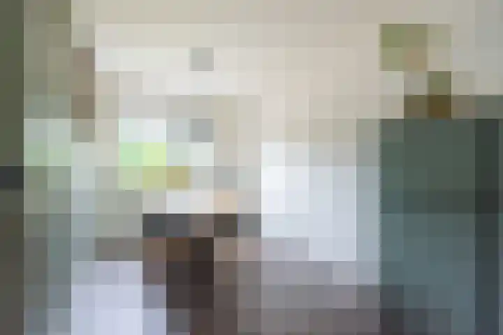 Valeriaan 80 Gendringen thumbnail 13