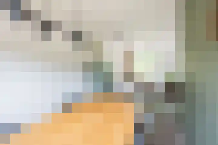 Valeriaan 80 Gendringen thumbnail 14