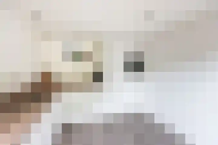Valeriaan 80 Gendringen thumbnail 15