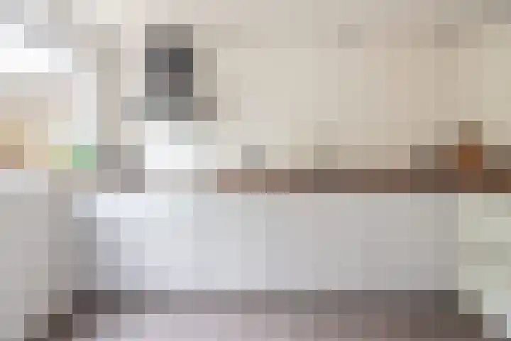 Valeriaan 80 Gendringen thumbnail 16