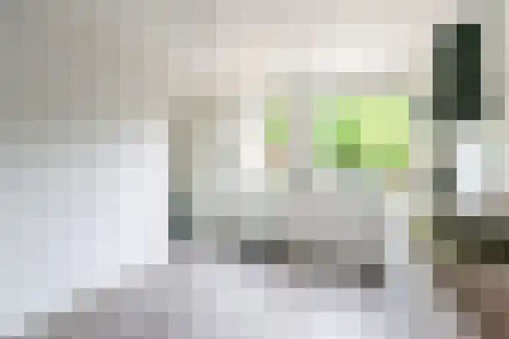 Valeriaan 80 Gendringen thumbnail 17