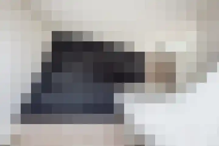 Valeriaan 80 Gendringen thumbnail 18