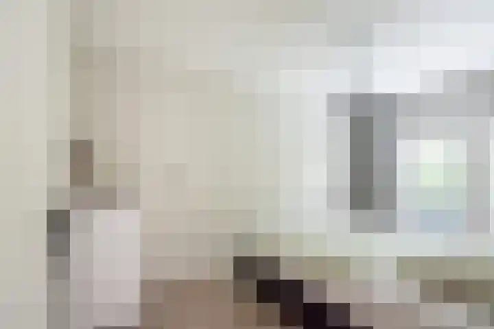 Valeriaan 80 Gendringen thumbnail 21