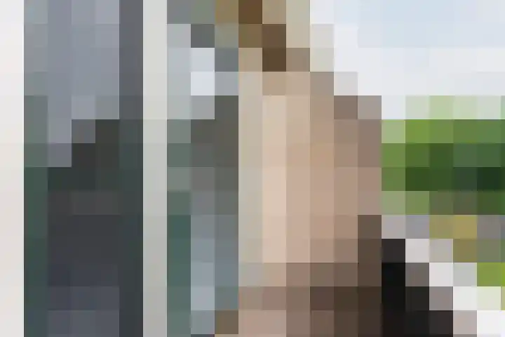 Valeriaan 80 Gendringen thumbnail 22