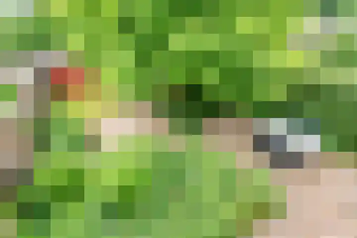 Valeriaan 80 Gendringen thumbnail 23
