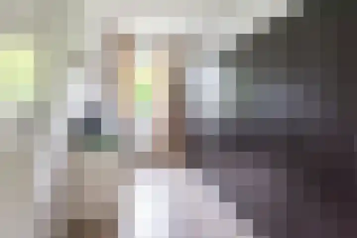 Valeriaan 80 Gendringen thumbnail 25
